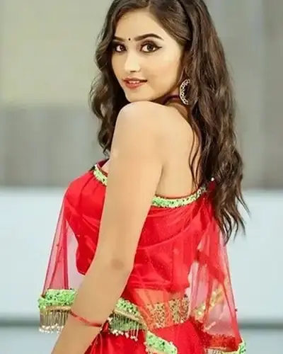 Escort In Giddaluru